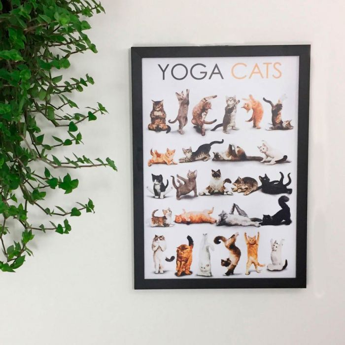 Quadro Decorativo Yoga Cats da Tadah!